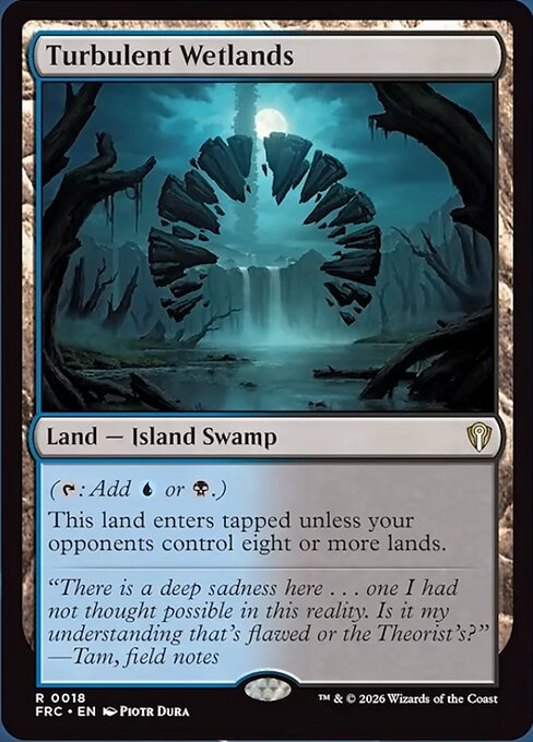 Turbulent Wetlands